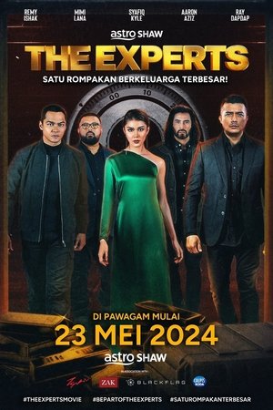 Póster de la película The Experts
