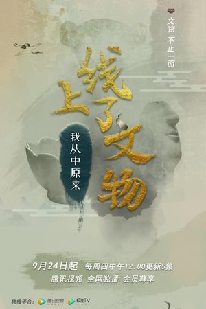 watch 上线了文物 tv show free online poster