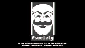 Mr. Robot