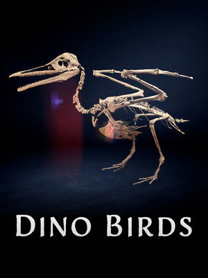 Póster de la película Dino Birds