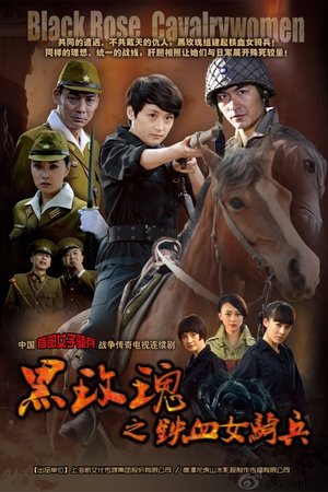 watch 烽火铁骑 tv show free online poster