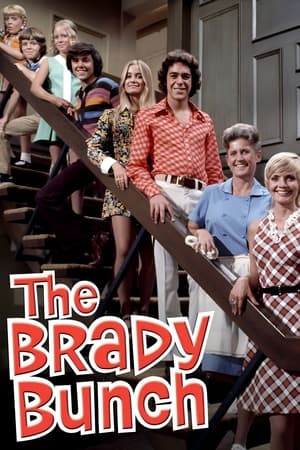 Póster de la serie The Brady Bunch