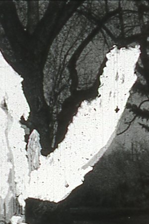 Black Vision