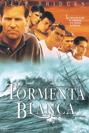 Póster de la película Tormenta blanca