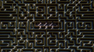 The Shining