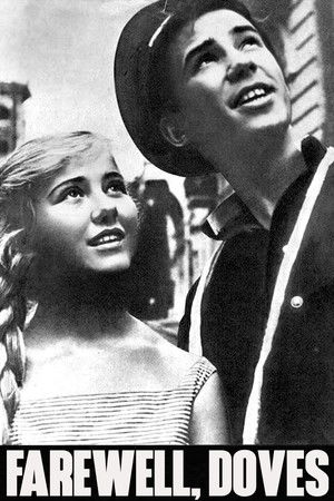 Default Netflix logo