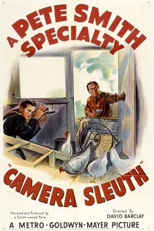 Póster de la película Camera Sleuth