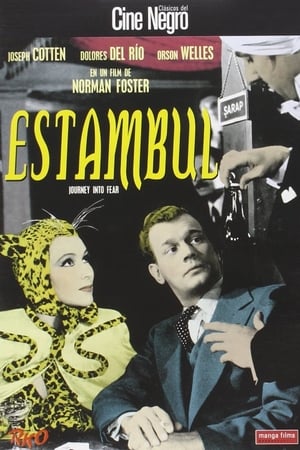 Póster de la película Estambul