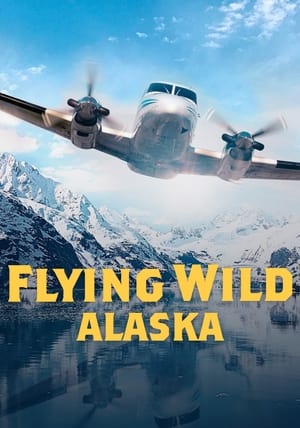 Póster de la serie Flying Wild Alaska