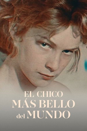 Póster de la película El chico más bello del mundo