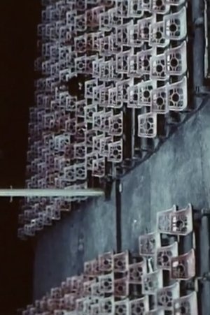 Birthday Celebration, or a Silent Balkan Story