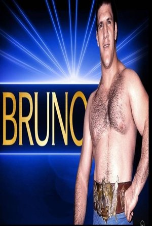 Póster de la película Bruno