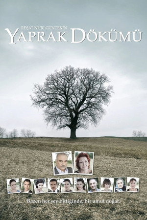 Póster de la serie Falling Leaves