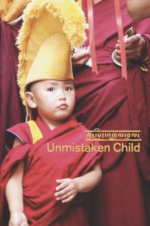 Póster de la película Unmistaken Child