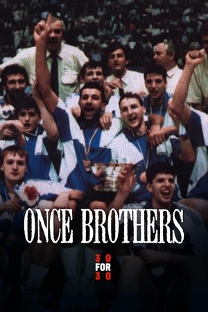 Póster de la película Hermanos y Enemigos (Petrovic y Divac)