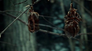 Hannibal