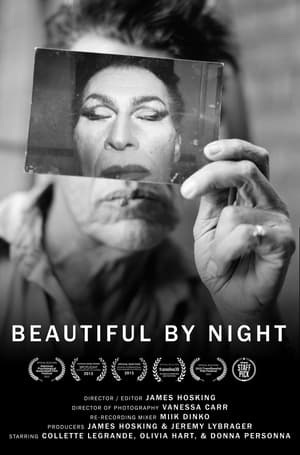 Póster de la película Beautiful by Night