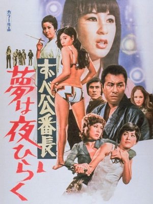 Póster de la película ずべ公番長　夢は夜ひらく