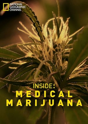 Póster de la película Inside: Medical Marijuana