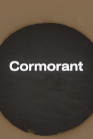 Cormorant