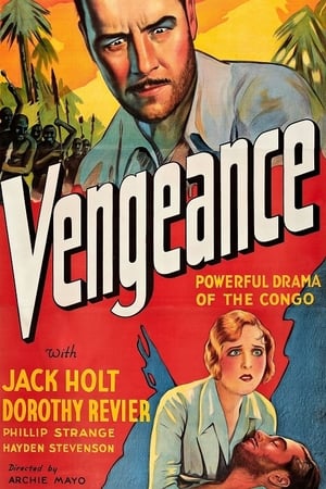 Póster de la película Vengeance