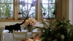 Practical Magic