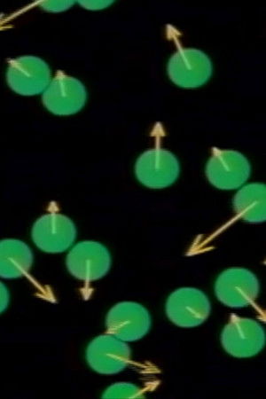 Curious About Existence