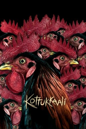 Póster de la película கொட்டுக்காளி