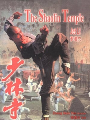 Póster de la película El templo de Shaolin