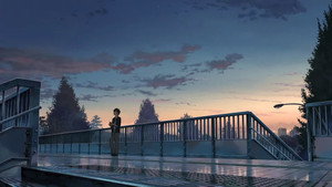 君の名は。
