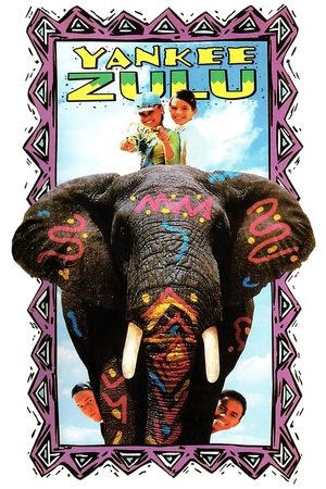 Póster de la película Yankee Zulu