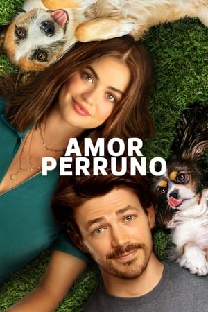 Póster de la película Amor de cachorros