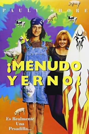 Póster de la película ¡Menudo yerno!