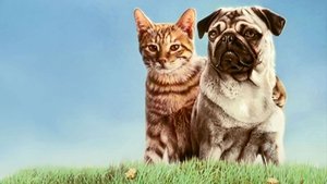 Miez und Mops - Zwei tierische Freunde