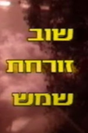 Póster de la película שוב זורחת שמש