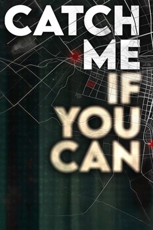 watch catch me if you can tv show poster