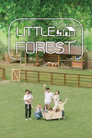 Póster de la serie Little Forest