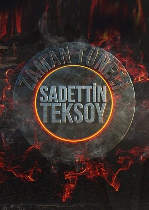 Póster de la serie Zaman Tüneli