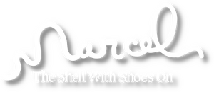 Marcel, el caracol con zapatos