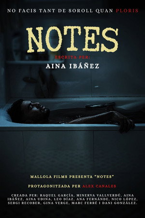 Póster de la película Notes