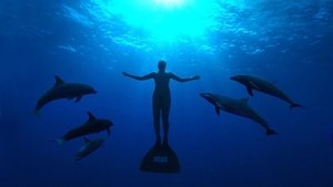 The Cove