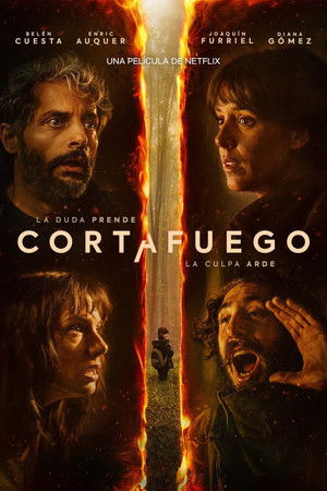Póster de la película Cortafuego