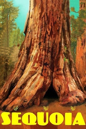 Póster de la película Sequoia