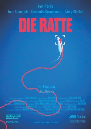 Die Ratte