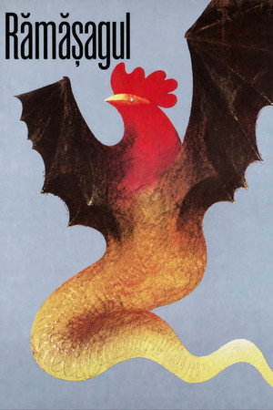Póster de la película Rămăşagul
