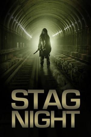 Póster de la película Stag Night