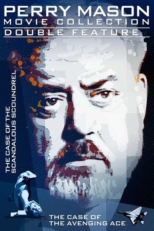 Póster de la película Perry Mason: El caso del as vengador