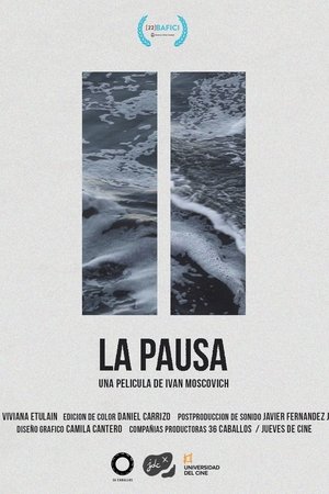 Póster de la película La pausa