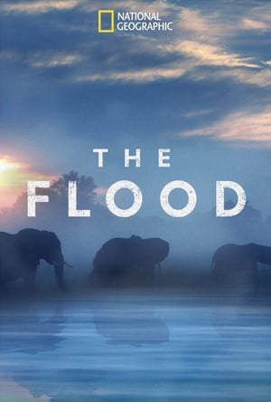 Póster de la película The Flood