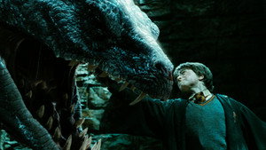 Harry Potter and the Chamber of Secrets